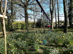 Images for Fisher Street, Northchapel, GU28