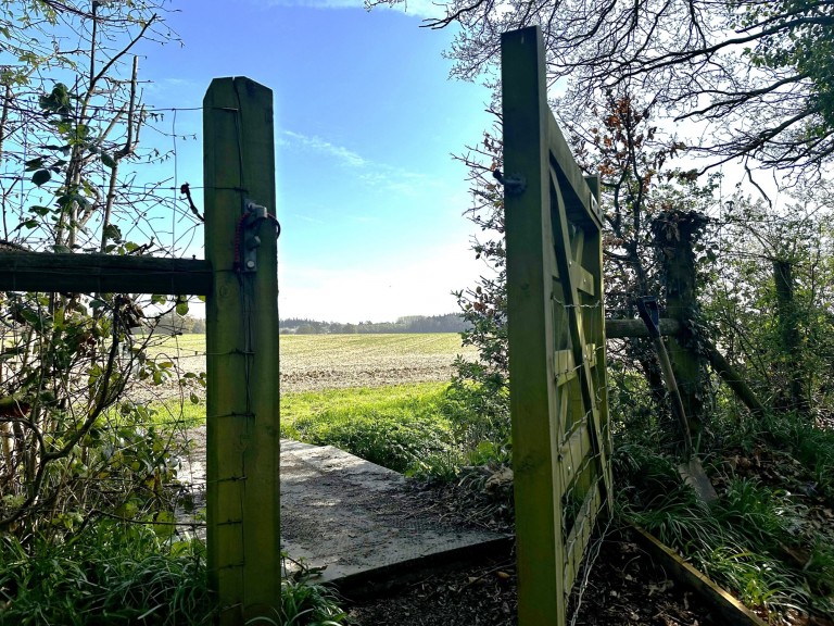 Images for Fisher Street, Northchapel, GU28