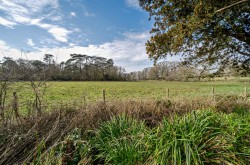Images for Durrants Road, Rowland's Castle, PO9