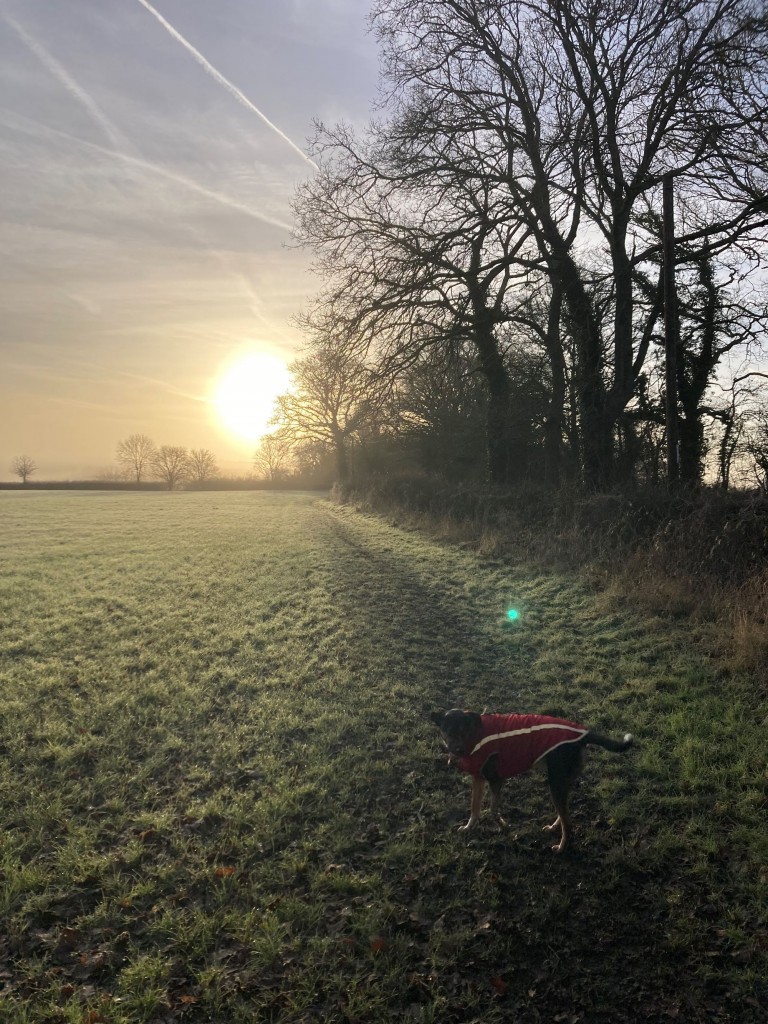 Images for Acorn Avenue, Cowfold, RH13