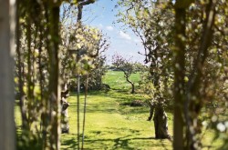 Images for Wellsfield, West Wittering, PO20