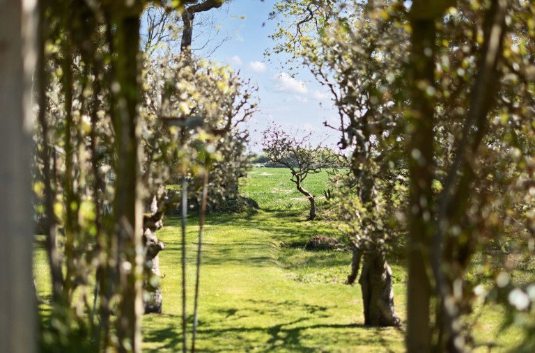 Images for Wellsfield, West Wittering, PO20