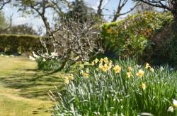 Images for Wellsfield, West Wittering, PO20