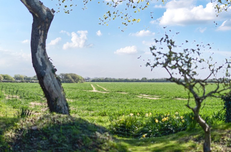 Images for Wellsfield, West Wittering, PO20
