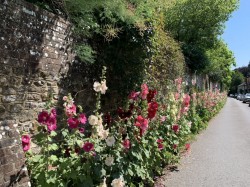 Images for Village Street, Petersfield, GU32