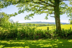 Images for Dial Green, Lurgashall, GU28