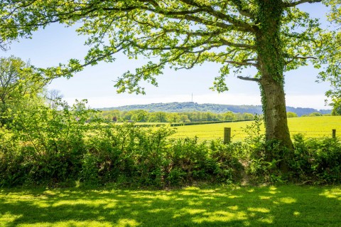 Click the photo for more details of Dial Green, Lurgashall, GU28