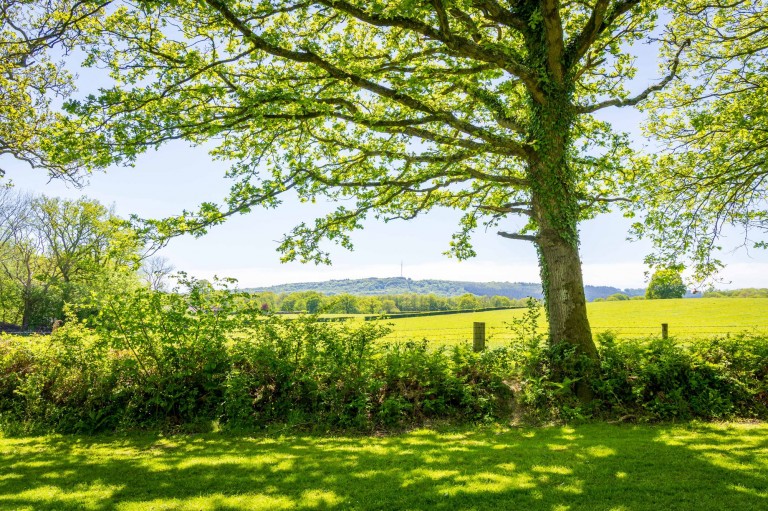 Images for Dial Green, Lurgashall, GU28