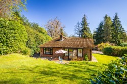 Images for Bunch Lane, Haslemere, GU27