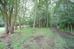 Images for Thorndon Park, Ingrave, Essex