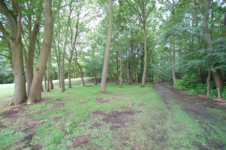 Images for Thorndon Park, Ingrave, Essex