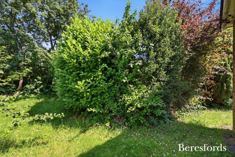Images for Stock, Ingatestone, Essex