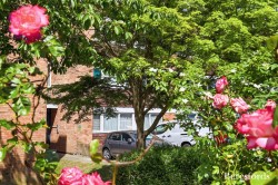 Images for Billericay, Essex