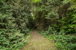 Images for Fredley Park, Mickleham, Surrey
