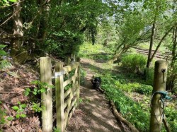 Images for Marshbrook, Church Stretton, Shropshire
