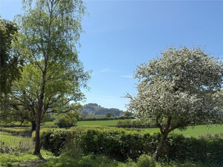 Images for Bucknell, Herefordshire