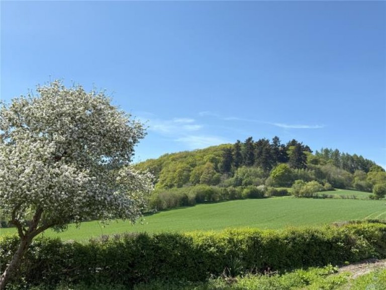 Images for Bucknell, Herefordshire