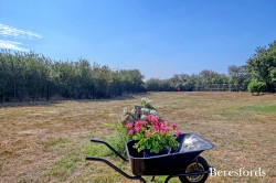 Images for Braintree, Essex