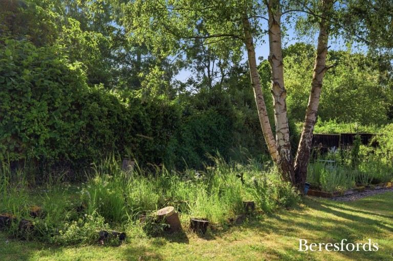 Images for Bocking, Essex