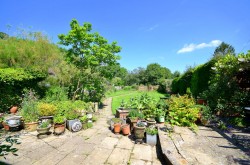 Images for Bookhurst Road, Cranleigh, Surrey