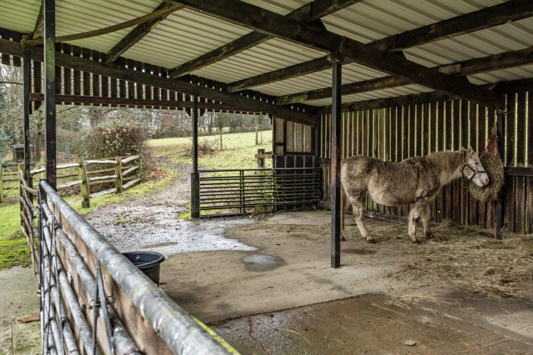 Images for Mayes Green, Ockley, Dorking, Surrey