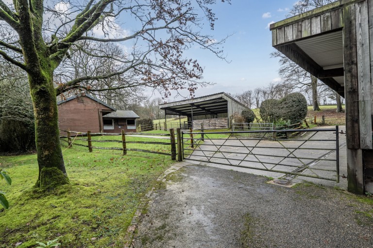 Images for Mayes Green, Ockley, Dorking, Surrey