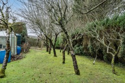 Images for Mayes Green, Ockley, Dorking, Surrey