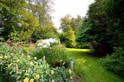 Images for Coneyhurst Lane, Ewhurst, Cranleigh, GU6