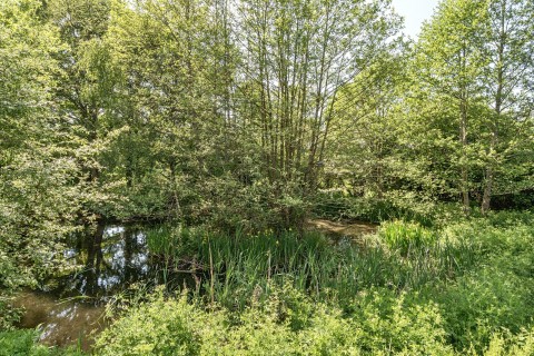 Click the photo for more details of Cherry Tree Lane, Ewhurst, GU6