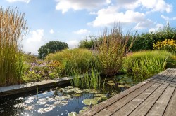Images for Smithwood Common, Cranleigh, Surrey