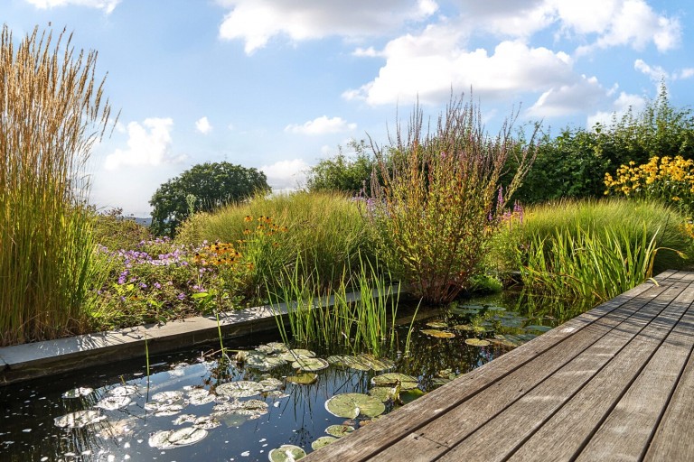Images for Smithwood Common, Cranleigh, Surrey