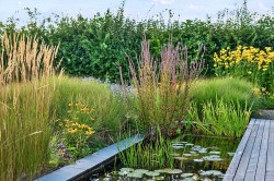 Images for Smithwood Common, Cranleigh, Surrey