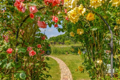 Click the photo for more details of Blacknest Cottages, Chiddingfold Road, Dunsfold, GU8
