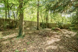 Images for Grove Road, Cranleigh, Surrey