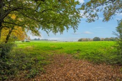 Images for Wonham Way, Peaslake, Surrey