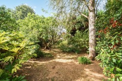 Images for Sweetwater Lane, Shamley Green, Surrey
