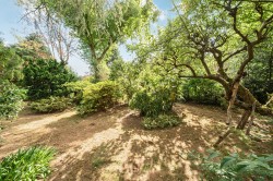 Images for Sweetwater Lane, Shamley Green, Surrey