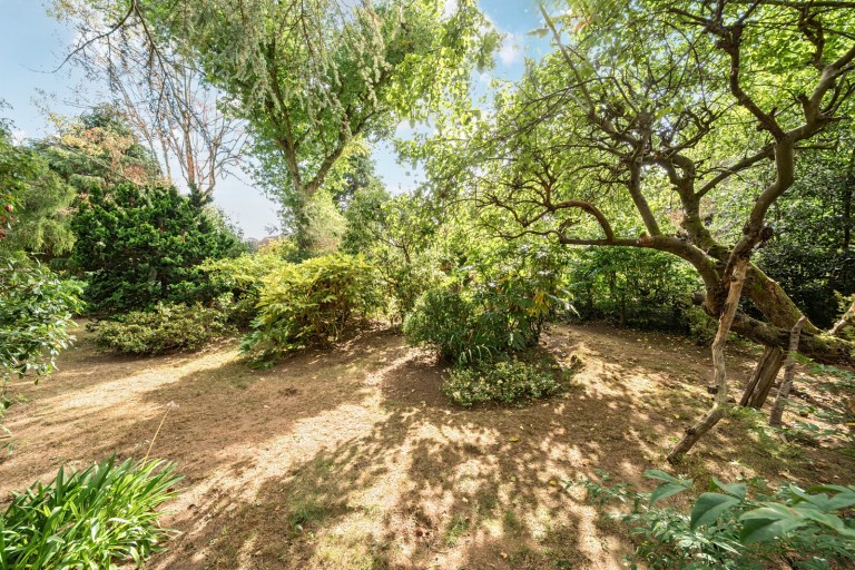 Images for Sweetwater Lane, Shamley Green, Surrey