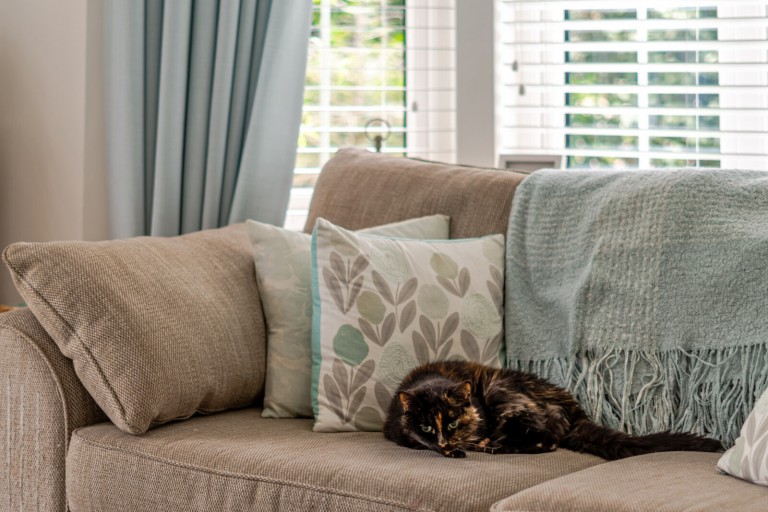 Images for Russet Grove, Cranleigh, Surrey