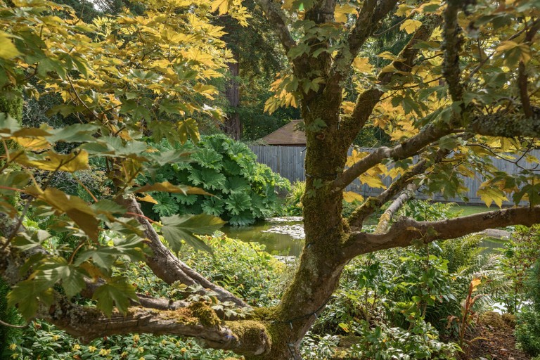 Images for Standon Lane, Ockley, Surrey