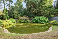 Images for Standon Lane, Ockley, Surrey