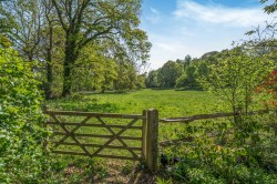 Images for Wykehurst Lane, Ewhurst, Surrey