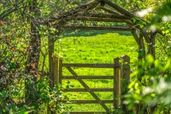 Images for Wykehurst Lane, Ewhurst, Surrey