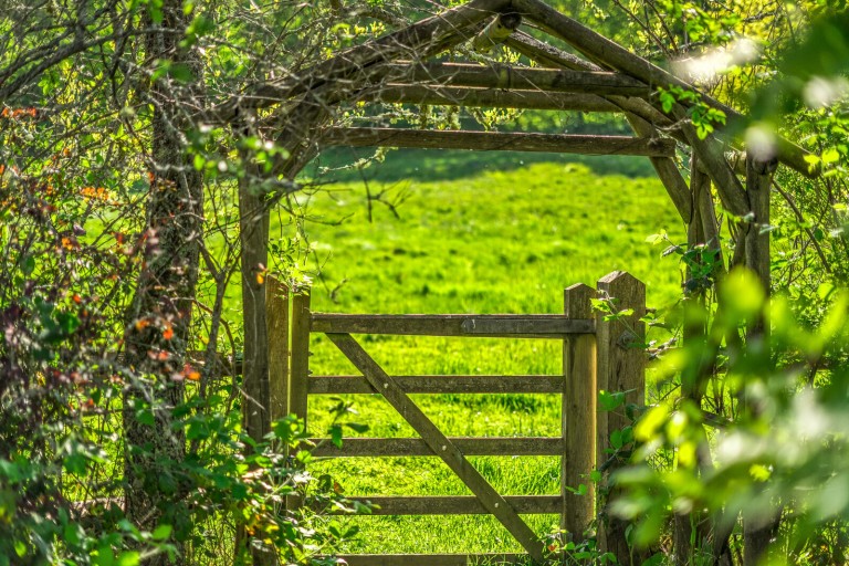 Images for Wykehurst Lane, Ewhurst, Surrey