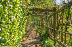Images for Wykehurst Lane, Ewhurst, Surrey