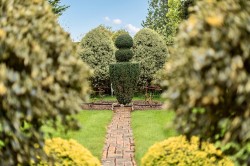 Images for Grafham, Bramley, Guildford, Surrey