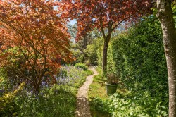 Images for Wildwood Close, Cranleigh, Surrey