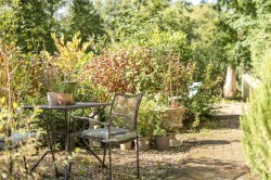 Images for Durfold Wood, Plaistow, West Sussex
