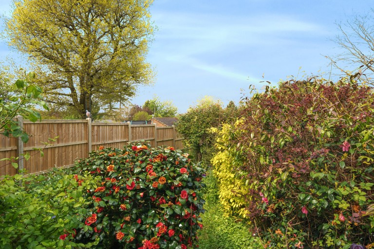 Images for Ridgway Road, Farnham, Surrey