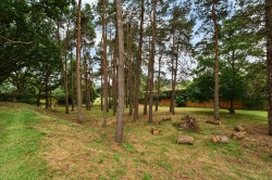 Images for Tilford Road, Farnham, Surrey